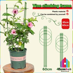 Homehub Climbing Vine Flower Stand Flower Plant Support Rod Frame Dill 45cm 60cm Gardening Supplies