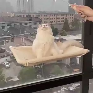 【READY-STOCK】55CM OPTIONAL SUNNY SEAT PET & CAT HAMMOCK CAT WINDOW HANGING BED HAMMOCK KUCING TEMPAT TIDUR 猫吊床 猫咪窗挂吊床 Tiram kucing