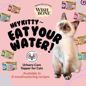 [Bundle of 4] Wishbone Variety Pack - Cat Urinary Care Topper in Cans 85g