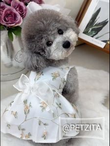 สุดยอดเดรสขาวสไตล์ คุณหนู - พร้อมส่ง สุดหรู สุดน่ารัก เสื้อสูงสวย ชุดหมา ชูฟู ชูฟู พื้นที่สุดและผ่อนคลินิก สำหรับชุดแมว