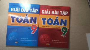 Sách - Combo 2 Cuốn Giải Bài Tập Toán 9 - Bộ Sách Kết Nối Tri Thức Với Cuộc Sống - nd