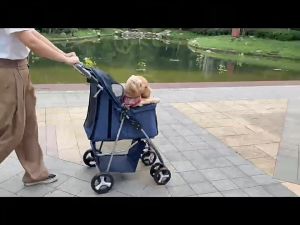 รถเข็นสัตว์เลี้ยงพับเก็บได้ รับนน.15 kg รถเข็นสูง/สูงสุนัข รถเข็นสัตว์เลี้ยงขนาดใหญ่