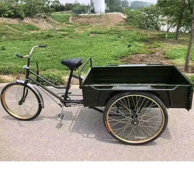 Adult Tricycle Light Cargo Vehicle