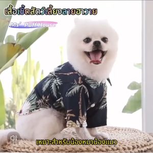 เสื้อสุนัข เสื้อหมา เสื้อแมว ลายฮาวาย ลายน่ารักกระบายอากาศได้อย่างดี ใส่วันสบายๆ เนื้อผ้าพรีเมี่ยม