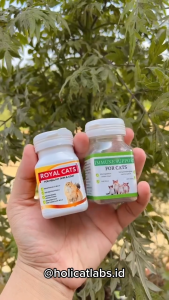 Holycatlabs Immune Support 50 Kapsul | Vitamin Imun Kucing Anti Virus Anti Stress