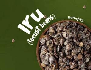 Locust bean Iru from Nigeria 50G