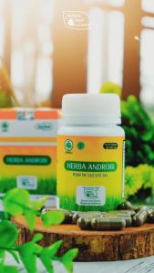 HIU Androbi Herbal Indo Utama Jamu Radang Tenggorokan 60 Kapsul