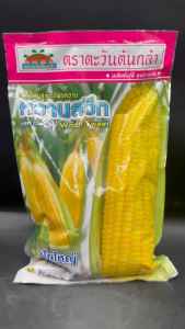 ตะวันต้นกล้า ข้าวโพด หวานสวีท หมดอายุ 04/2569 ขนาด 500 กรัม ข้าวโพดหวาน ลอตใหม่ ฝักใหญ่ ผลผลิตสูง รสชาติหวาน กรอบ อร่อย ต้านทานโรคและแมลง npkplant