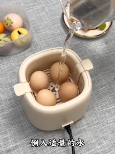 Household Multifunctional Egg Cooker Electric Egg Boiler Automatic Quickly Boiling Machine Egg Steamer