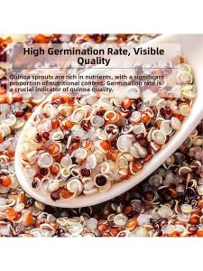 Authentic High-Altitude Multicolor Quinoa Non-Instant Grain Main Course Substitute