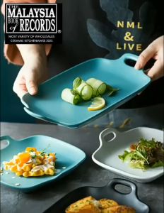 🔥Ready Stock🔥Nordic Ceramic Plate With Handle/Rectangular Baking Pan/Creative Rice Noodle Dessert Dish/Household Plate