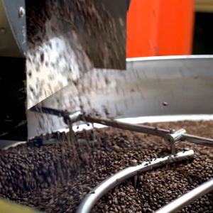 [BUNDLE] Coffex Alturra Blend and Caffe Grande Blend 100% Arabica Whole Coffee Bean (250g)