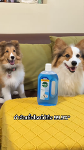 Dettol เดทตอล น้ำยาฆ่าเชื้อเดทตอล น้ำยาฆ่าเชื้อโรค ไฮยีนมัลติ-ยูส น้ำยาถูพื้น สูตรลาเวนเดอร์ 750มล.X2 Dettol Hygiene Multi-use 750mlX2