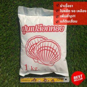 ปูนขาว ปูนขาวปรับดิน เพิ่มpH ลดกรด แก้ปัญหาใบหยิก ใบงอ ใบเหลือง ฆ่าเชื้อรา ปูนเปลือกหอย