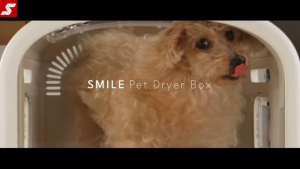 PetSnowy SMILE Automatic Pet Dryer Box | Ultra-Quiet 40 dB Hands-Free Drying + Smart Safety Sensors | For Dogs & Cats | 1-Year SG Warranty