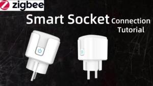 Tuya EU-Standard Smart Plug Zigbee Connectivity With Energy Monitoring compatible with Alexa and Google Home