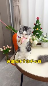 Mainan Tongkat Bulu Lonceng Kucing Anjing Pet Toys