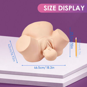 PANCKOO Life-Size Midwifery Training Model - Silicone Childbirth Simulator for Obstetrics & Gynecology Normal & Abnormal Fetal Positions Delivery Maternity Manikin for Medical Education