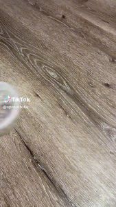 Dried Moss SPHAGNUM MOSS Good For Plants