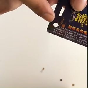 [GIORGIO ARMANI MALL]Office2art เครื่องเจาะบัตร เครื่องเจาะรูบัตรพนักงาน (วงกลม-วงรี) No.016 รูกลม5mm.+รูวงรี3*13mm