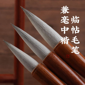 Bút Ghi Chép Sợi Hỗn Hợp Cao Cấp Cho Người Lớn Và Học Sinh Mới Bắt Đầu Bút Ghi Chép Châu Âu Và Kiều Lễ Thể Thân Thiện Với Môi Trường