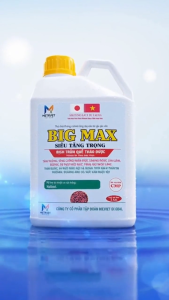 BIG MAX Siêu Tăng Trọng Dịch Trùn Quế Thảo Dược Tăng Cân Vật Nuôi Heo Gà Cá Tôm