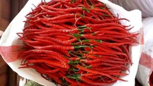 Cabai Merah Keriting 1KG Cabe Merah Keriting 1Kg Murah