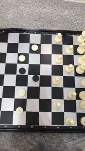 Bộ bàn cờ vua quốc tế 25cm bàn cơ vua trắng đen nam châm tự hít siêu đẹp bô cờ vua phát triển trí não bộ chơi cờ vua truyền thống