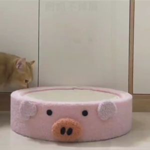 Sisal Scratching Post - The Perfect Scratching Playground for Cats