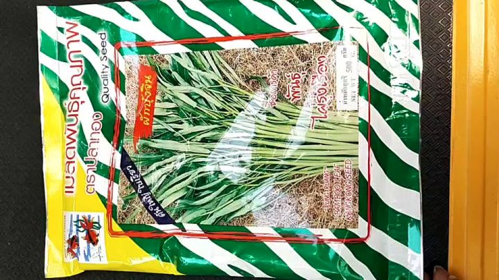 เมล็ดพันธุ์ผักบุ้งจีน ไผ่รุ่งเรือง ปลาทอง 500 กรัม
