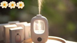 Automatic Diffuser Aromatherapy Automatic Aromatherapy Machine Suitable For Shopping Malls/Home Use Usb Rechargeable Air Freshening Spray Machine 4-Modes