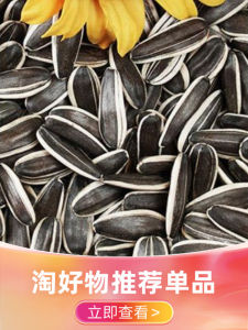 เมล็ดส้มสดขนาดใหญ่บรรจุในถุงแบบขายส่งและขายปลีก 10 ปอนด์ 2025 เมล็ดพืชใหม่รสชาติธรรมชาติ ขนมจอร์จีนแผ่นดินใหญ่