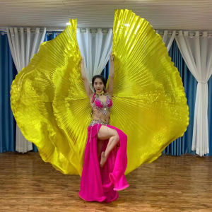 Golden Wings Belly Dance Costume Adult DanceEastern DanceSplit360 DegreeColorful Golden Skirt Belly Dance Accessories
