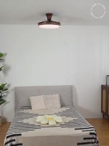 DGY | Minimal Retro Invisible Ceiling Fan Light