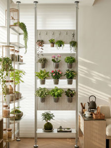 WEINIMEI | Decorative Multi-layer Plant Display Rack