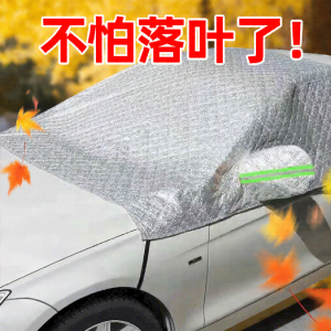 Leaves and Bird Droppings Preventing Car Cover