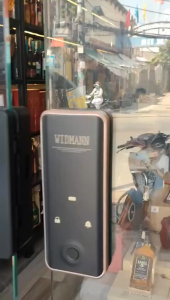 Khóa cửa kính WIDMANN G21 ( Vân tay - thẻ từ - mã số - app)