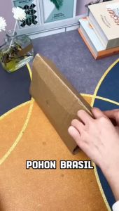 Tanaman Hias Indoor & Outdoor: Bonsai Hanjuang Brazilian Wood