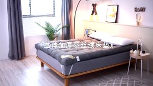 Thicker Mattress Tatami Mattress Single/Queen/King Feather Velvet Soft Tilam Tebal Mattress Topper Foldable Mattress 床垫