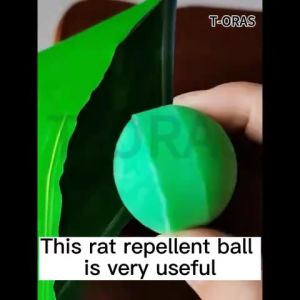 Original 10Pcs MouseRepellent Mothballs Non-Toxic Powerful Rats Repeller Mouse Repeller RepellentCream Rat Repellant for Car CockroachInsect Repellent Insect Rat Killer Mothballsfor Rats