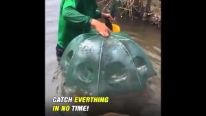 4/6/8/12/16-Hole Folding Fishing Net: A Comprehensive Guide