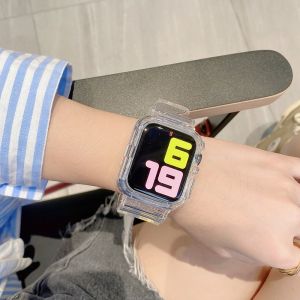 ZHOUJIANG | Ice Glacial Limited Watch Strap