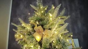 LED Copper Wire String Lights Outdoor Fairy Light EU/US Plug 8 Mode Lighting Camping Lamp for Wedding Party Christmas Tree Decor