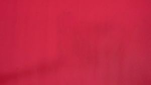 Ranova Langnuo Cat Treat Freeze Dried Quail Egg Yolk Supports Brain Coat Health Snack For Cats Dogs