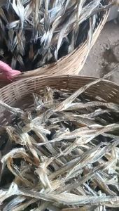 Khô Cá Khoai Đại Con To- đặc sản Cà Mau thử là phê ăn là mê- VỰA KHÔ PHI YẾN