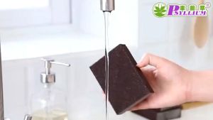 ฟองน้ํานาโน Magic Sponge ฟองน้ําทําความสะอาด ขัดคราบสนิม คราบน้ํามัน คราบดําเครื่องครัว ออกหมดจดโดยไม่ต้องใช้น้ํายาอื่นๆ