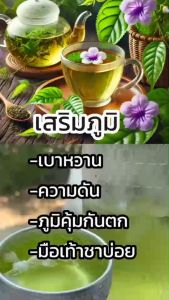 ชารางจืด ไทยเฮิร์บ ชา ล้าง สารพิษ ดีท็อกซ์ ล้างสารตกค้าง ล้างพิษวัคซีน ใบรางจืด (1ห่อ บรรจุ 10ซอง)