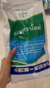 แอนทราโคล โพรพิเบบ ขนาด 1kg ป้องกันใบแห้ง ใบไหม้ แอนแทรคโนส และช่วยให้พืชเขียว เพราะมีธาตุสังกะสี