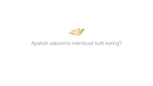 Junkie Makeup - DOVE Beauty Cream Bar Soap 75gr