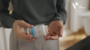 Vet Expert CardioVet Tablets: A Natural Heart Health Supplement for Dogs